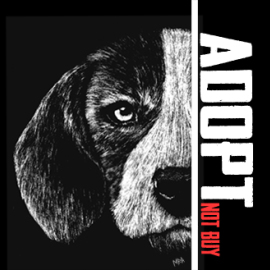 Adopt_not_buy_Mireia_Mullor_Dog